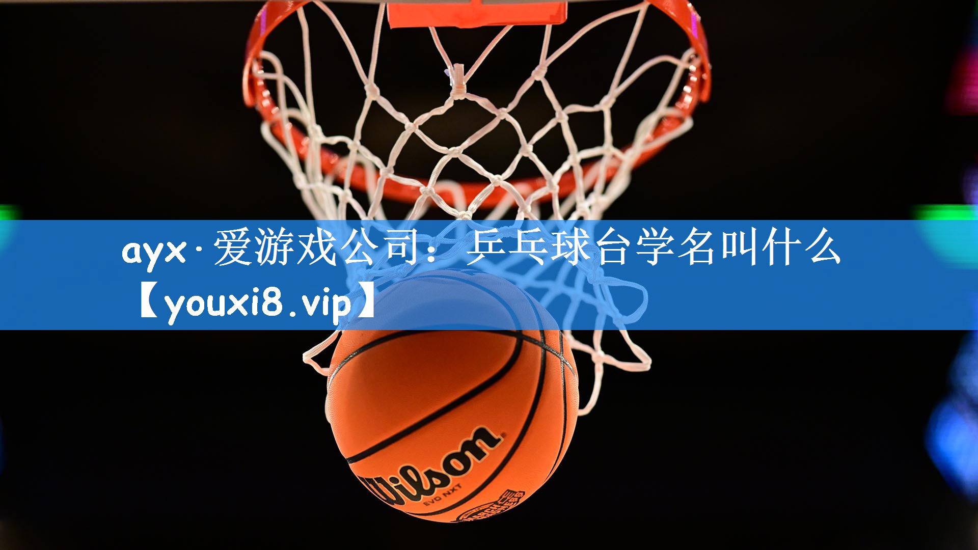 ayx·爱游戏公司：乒乓球台学名叫什么